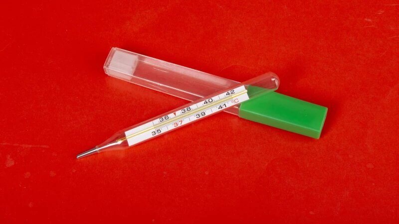     Градусник. Анна Зайкова