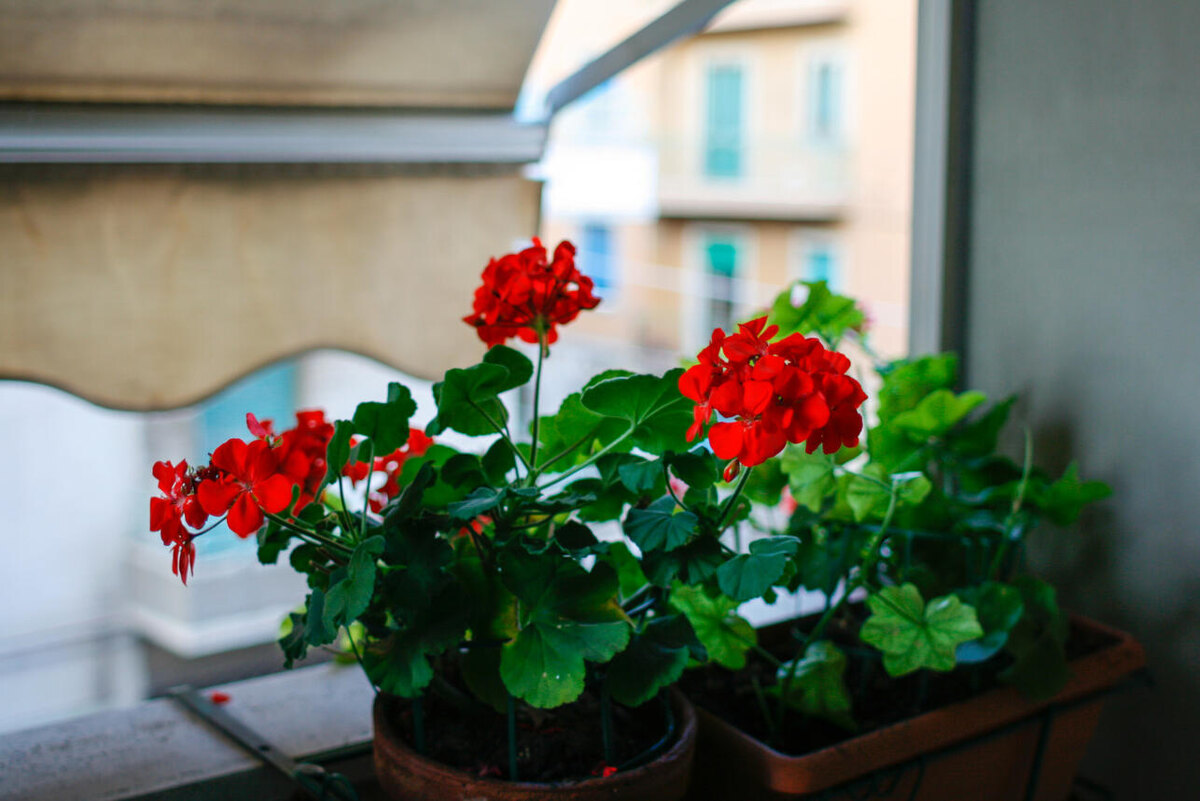     123RF/legion-media.ru