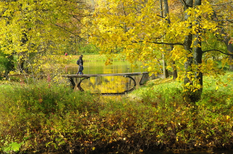    Фото: abn.agency