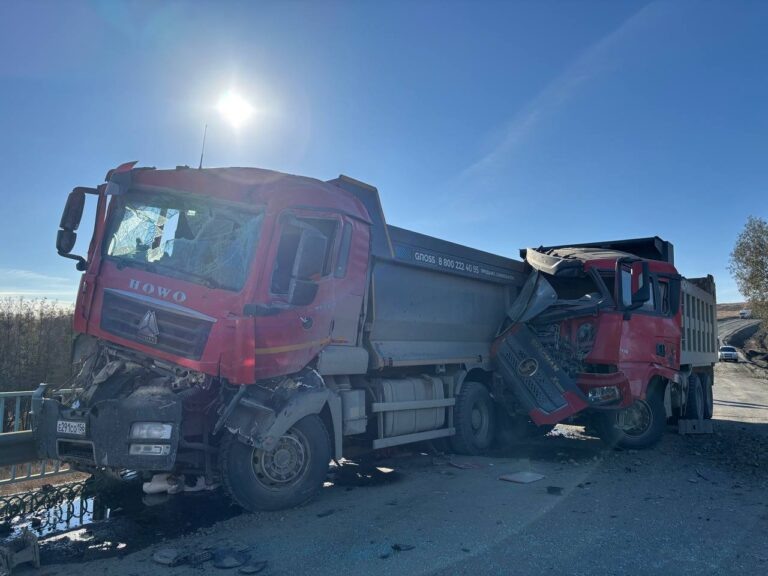    В Кувандыкском районе при столкновении большегрузов погиб мужчина Мария Чалкина