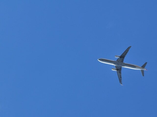    Фото: 123RF/stdmrz