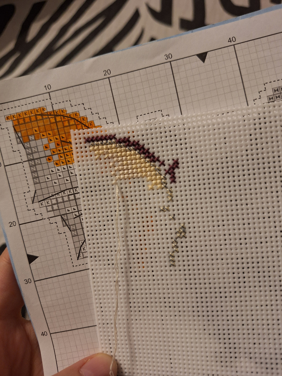 Летучий мышь. Начало