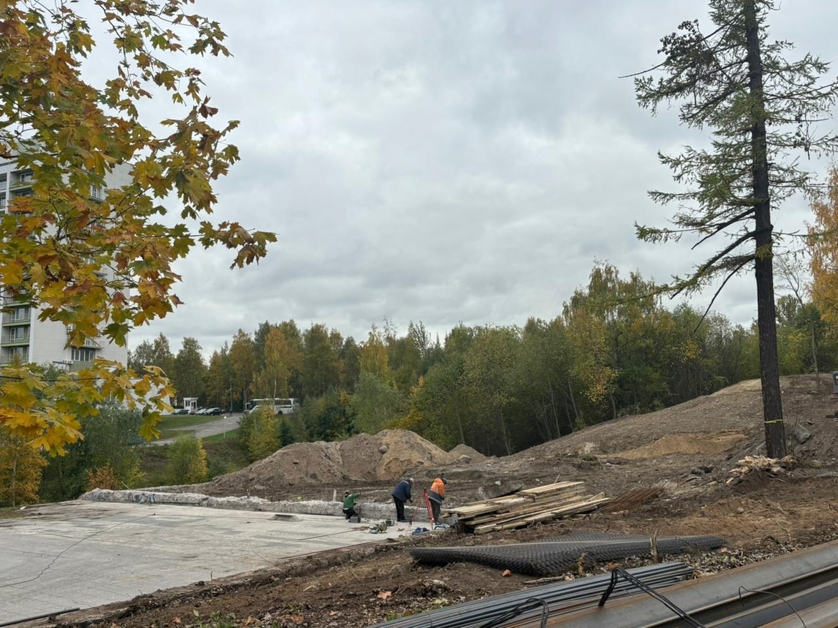    Фото: Петросовет / ВК