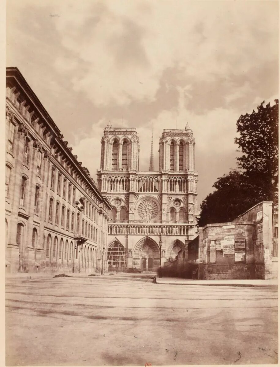 Пустой Париж 19 века. Notre Dame. Источник фото: plainmagazine.com