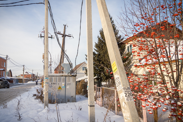    Фото Андрея Заржецкого