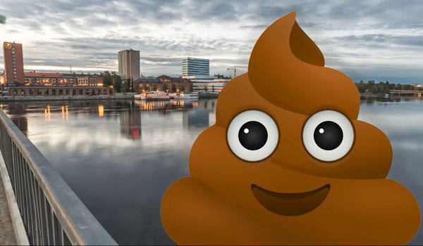    Фекальный хаос на севере Швеции