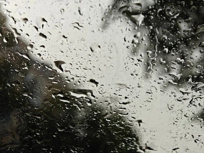    Фото: Юрий Серебренников/BFM Кубань