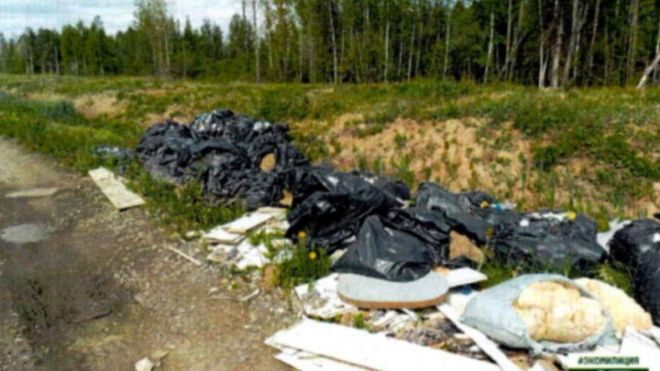 Фото: Комитет госэконадзора Ленинградской области