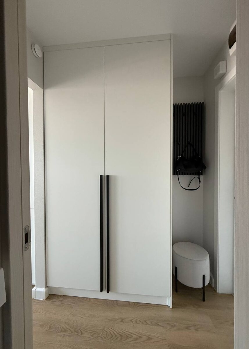 Встроенный шкаф в проекте Светланы
