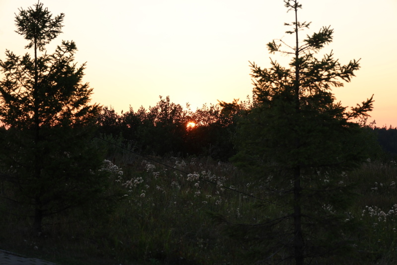    Фото: © Elena Mayorova/Globallookpress