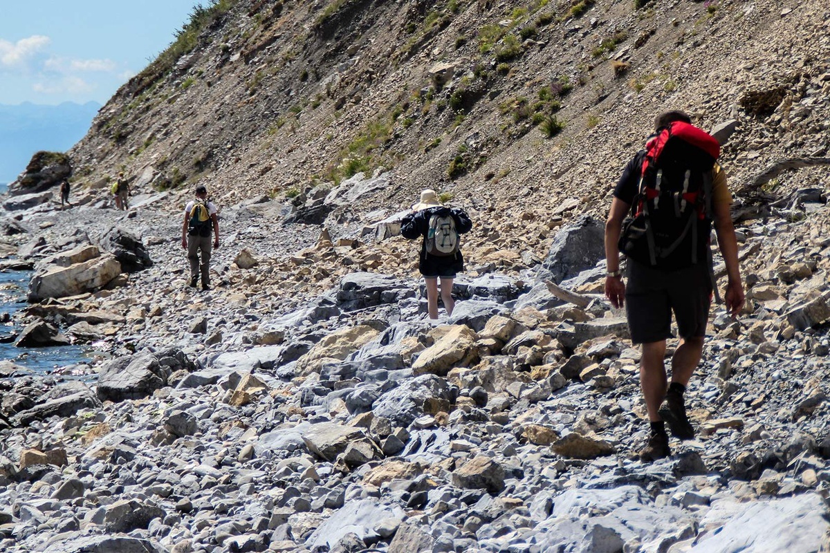    Фото: Кирилл Шипицин, источник: ria.ru