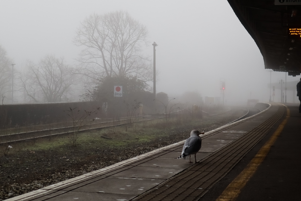 Убийство произошло в Саут-Окендоне, графство Эссекс. Фото: Василий ВАХРИН