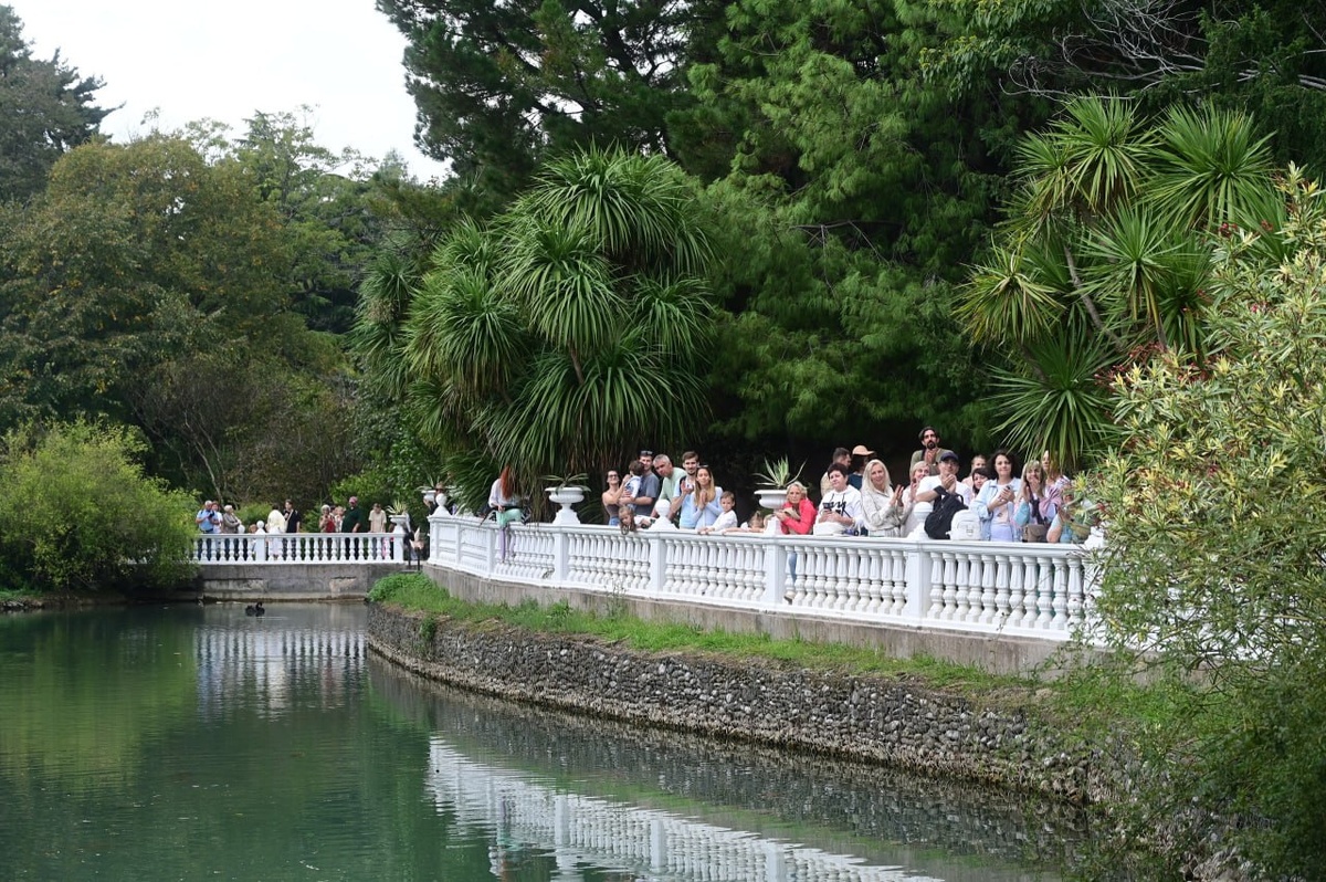    Фото: Telegram/Кавказский заповедник