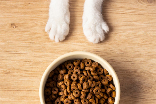 Фото: freepik.com 