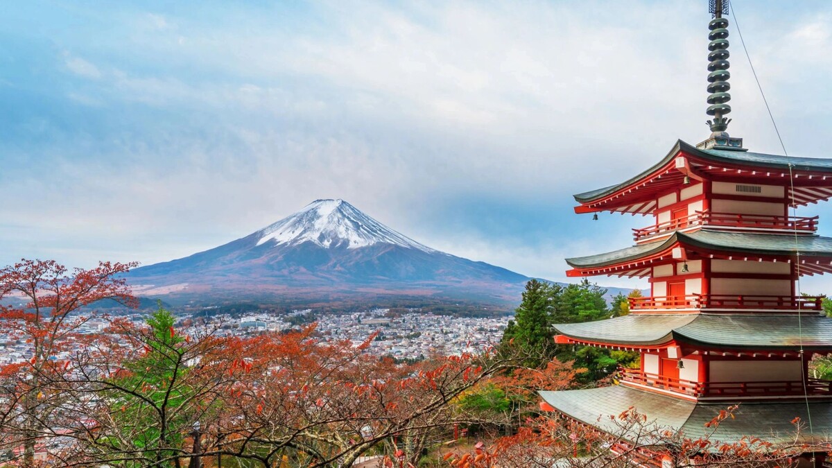    Фото: Summit Art Creations/Shutterstock/Fotodom