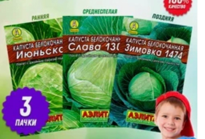 Скриншот из моих покупок на ВБ. Возможно, что в этом сезоне я вырастила что-то из этих пачек. 