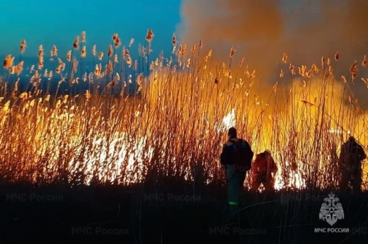    В Ростовской области за сутки потушили 8 пожаров и спасли человека