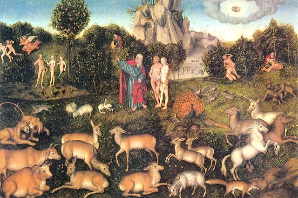    DM: ученый Джаваид нашел Райский сад из Библии на Земле