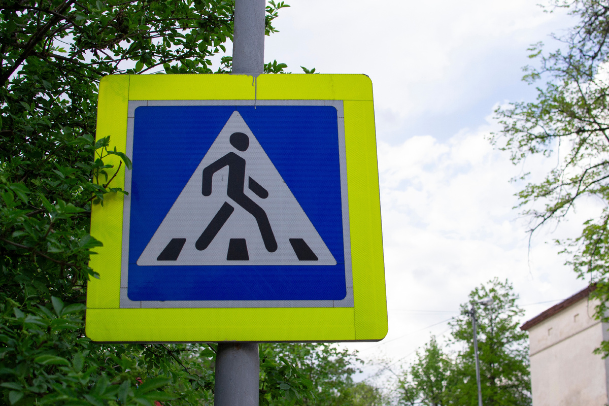 @Ruslana Babii/Shutterstock.com 