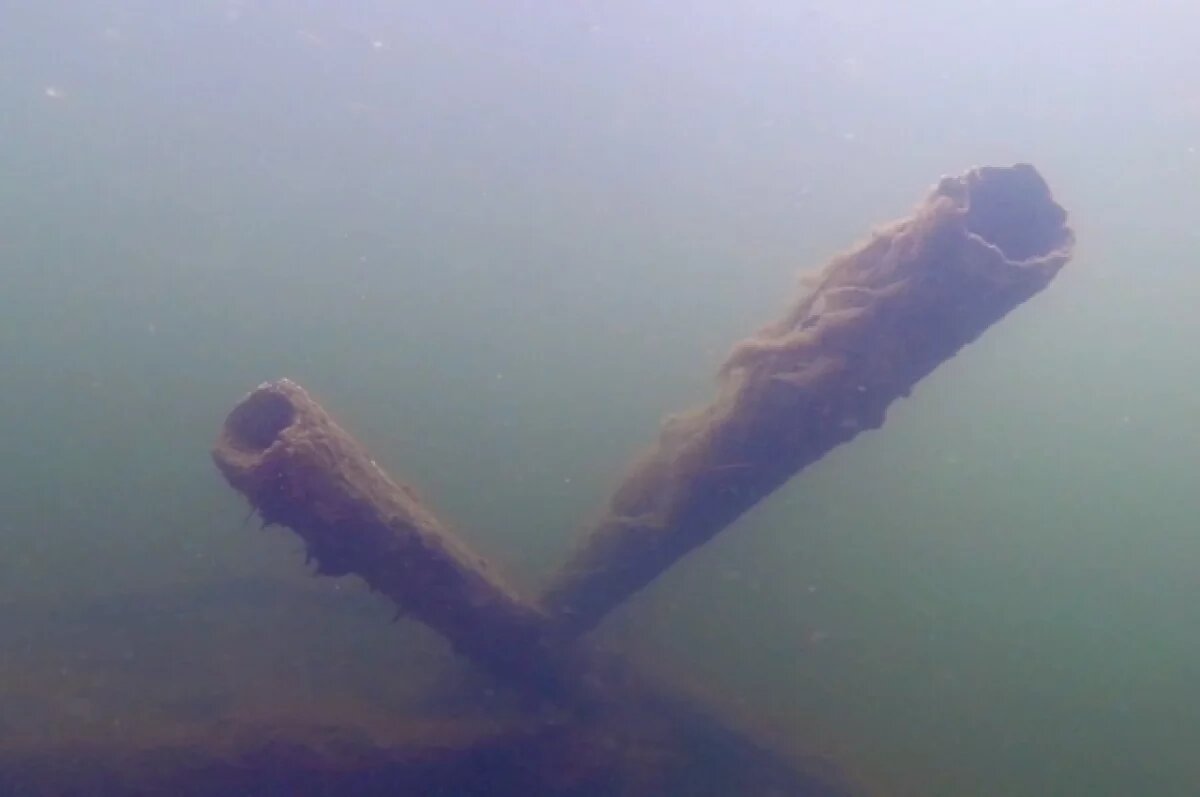    Владимирцам показали, что скрывается на дне реки Ушна