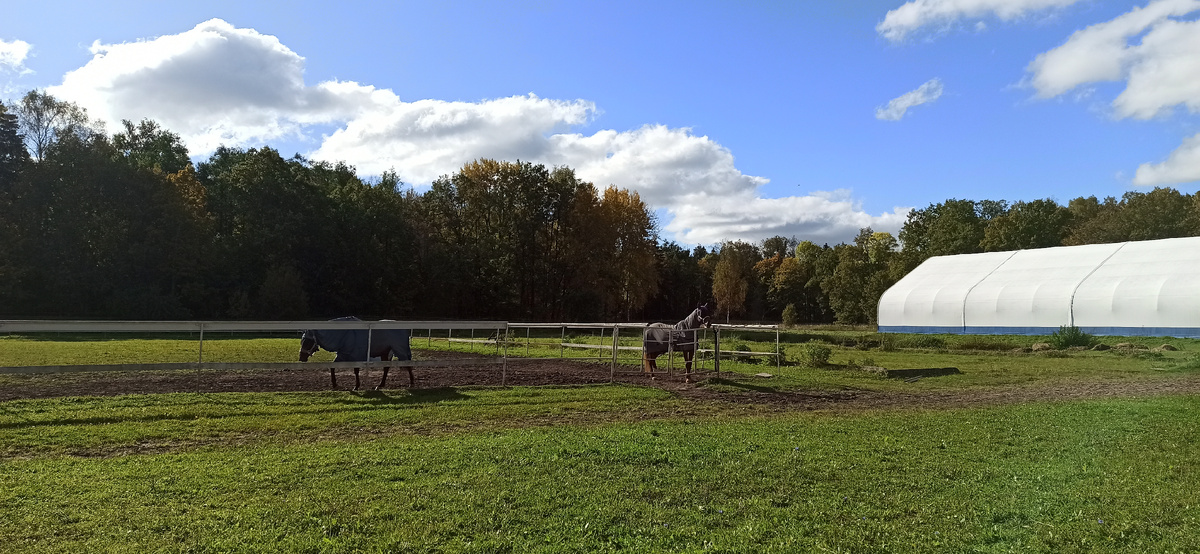 Царское Село. Ипподром у Фермской дороги