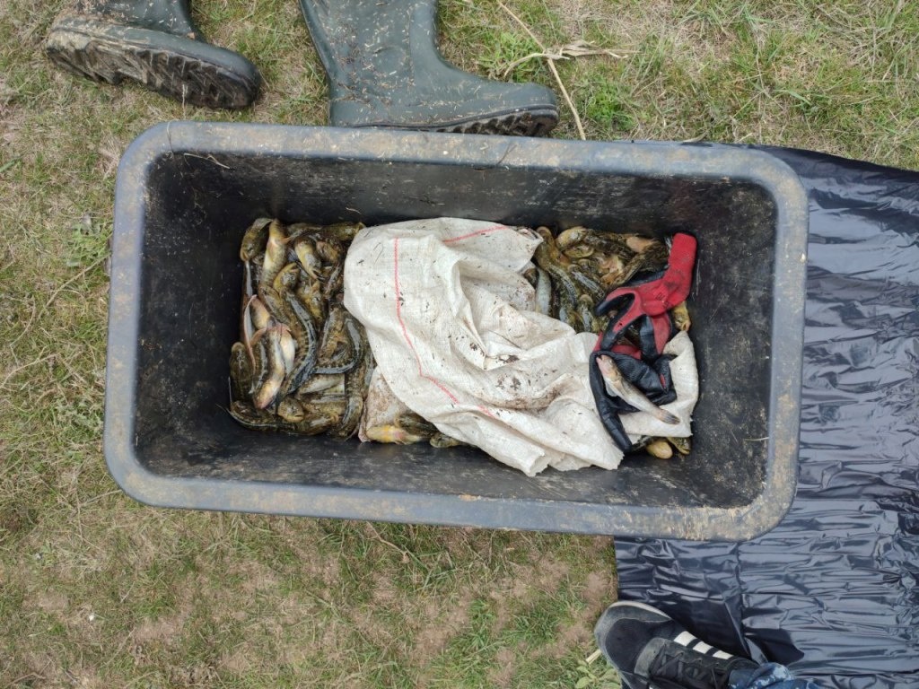    Фото: УТ МВД России по ЮФО