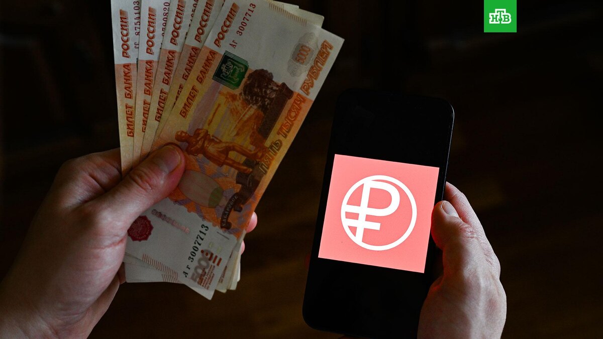    Фото: РИА Новости © 2025, Пелагия Тихонова