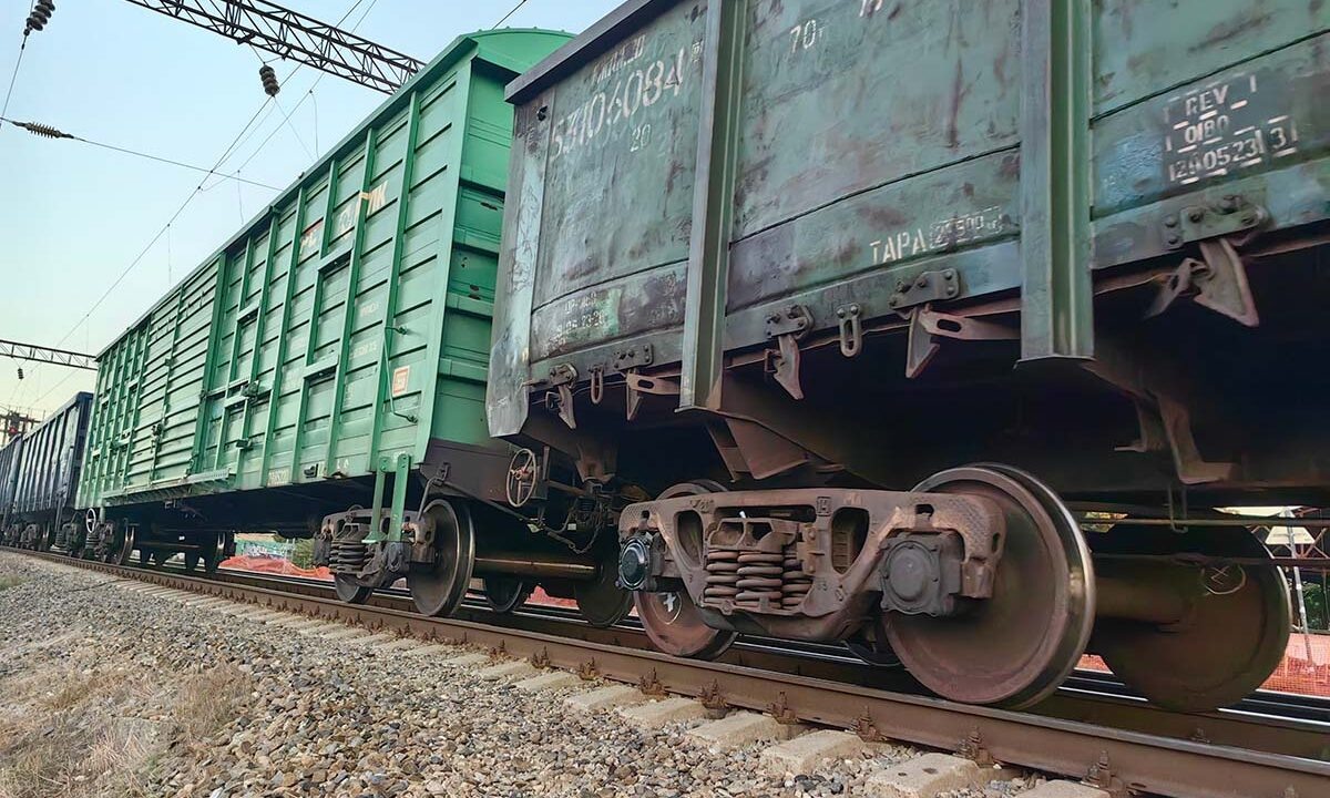    Фото «Кубань 24»