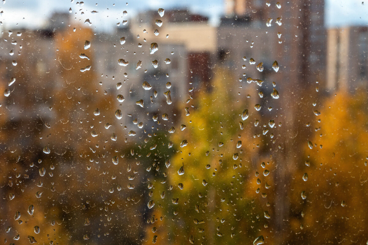 Фото: Олег Золото / «Петербургский дневник»