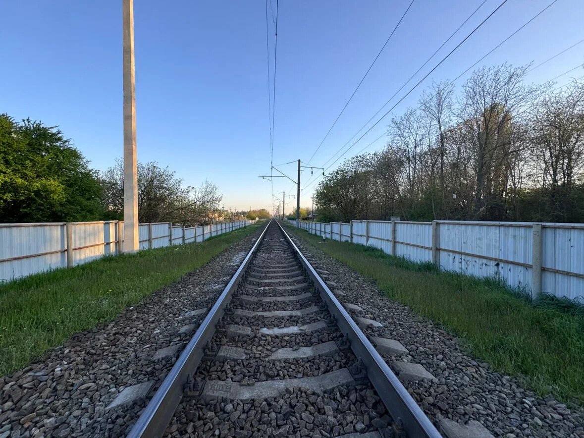    Фото: Юрий Серебренников/BFM Кубань