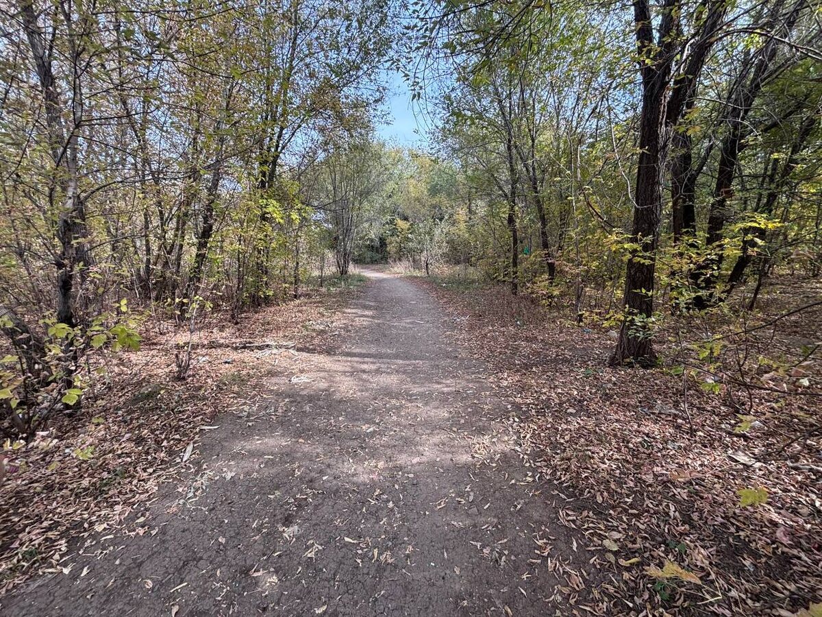    В Оренбурге водитель сбил 12-летнюю девочку и скрылся с места ДТП