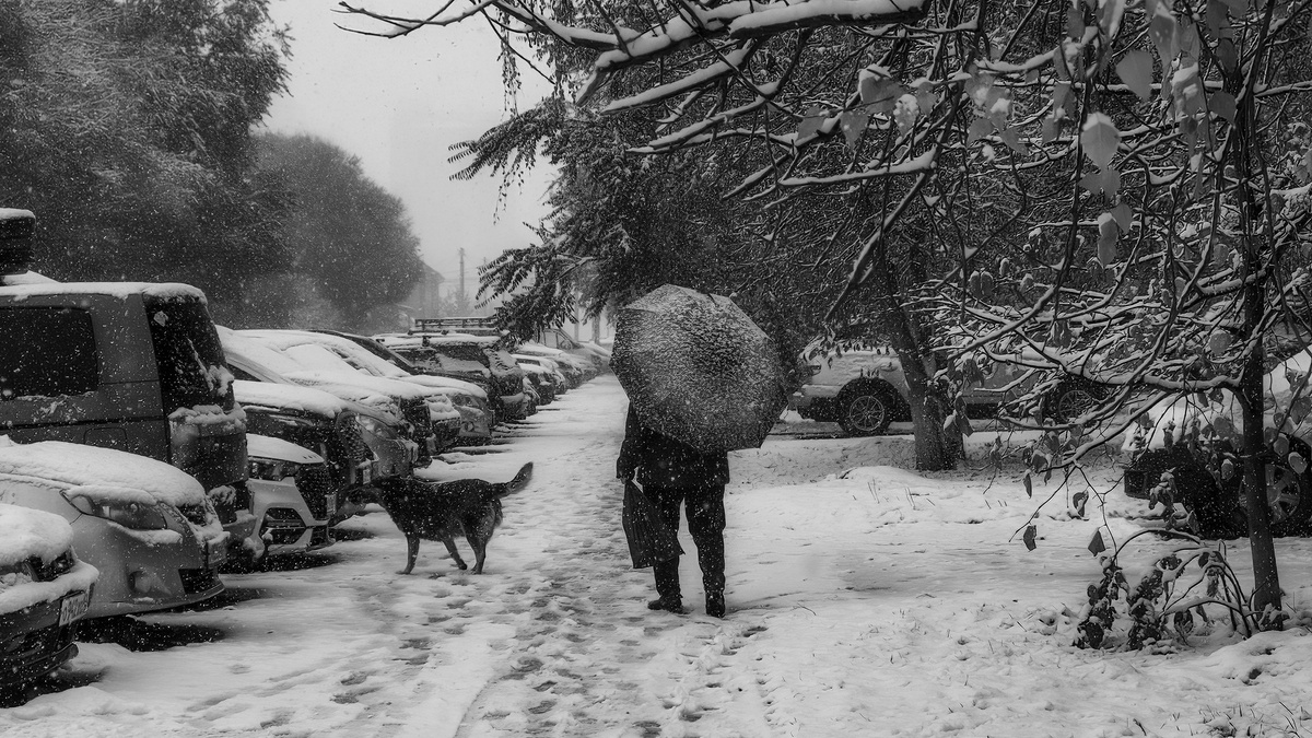 Непогода в октябре. Новосибирск. Фотография - www.openmainphoto.ru