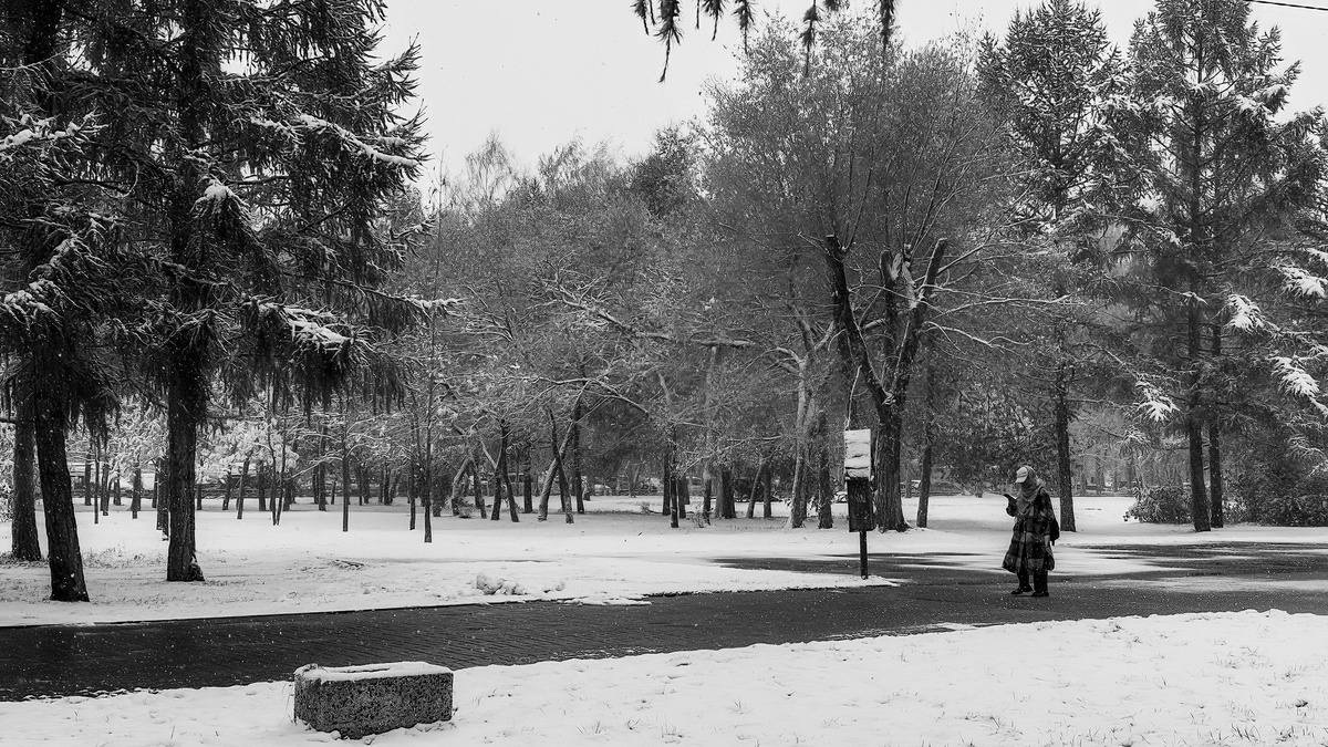 Непогода в октябре. Новосибирск. Фотография - www.openmainphoto.ru