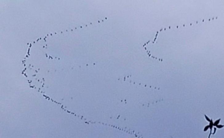    Фото Минприроды