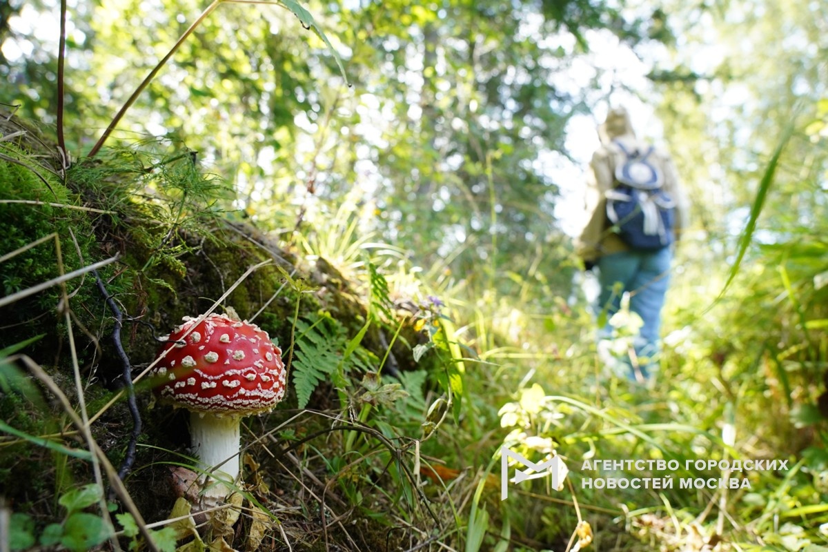Фотограф: Александр Авилов