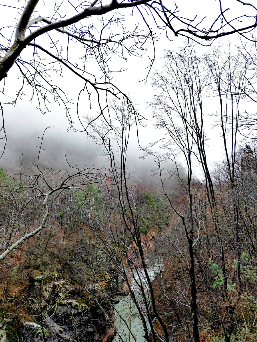 Вид на Гранитный каньон. Река Белая по дороге в посёлок Гузерипль, Адыгея. Фото автора