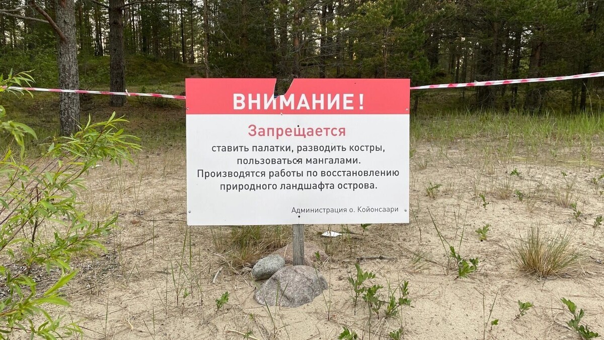     Источник: КАРЕЛФОРНИЯ NEWS | Петрозаводск и Карелия