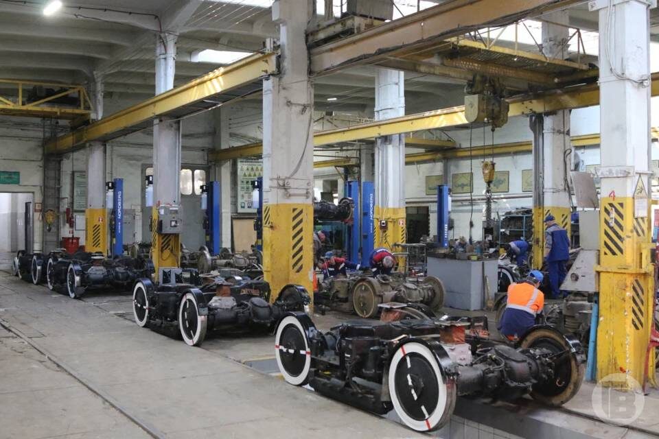    фото: Матвей Горбунов / "Городские вести"