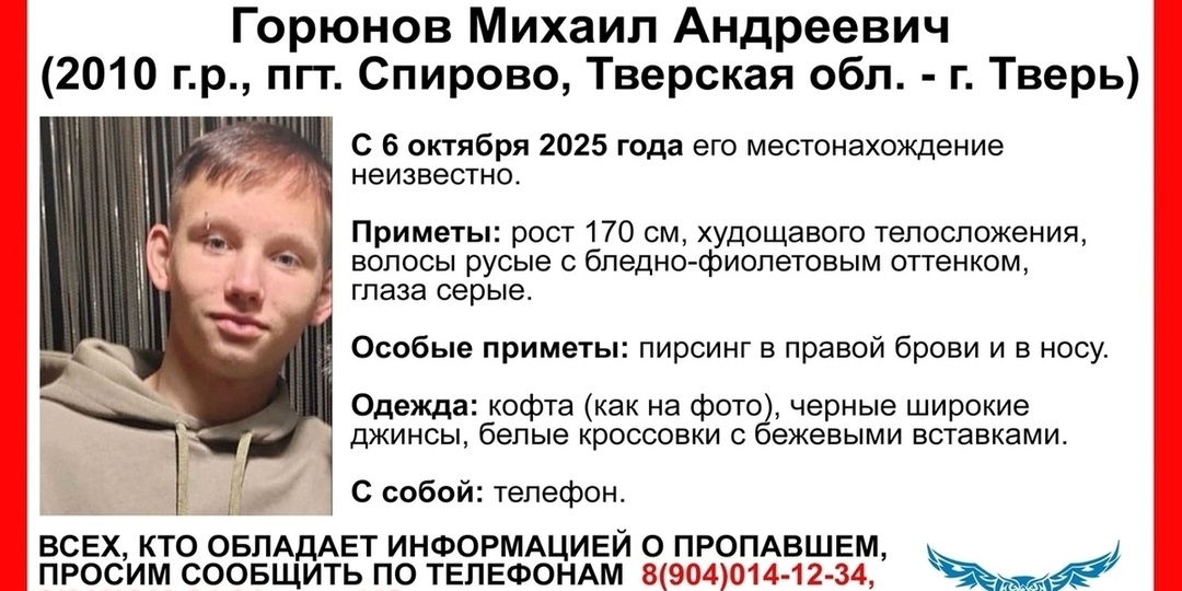 В поселке Тверской области попал подросток