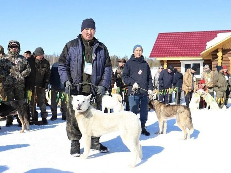 Знакомьтесь, это Айхал. Его имя значит "слава"!