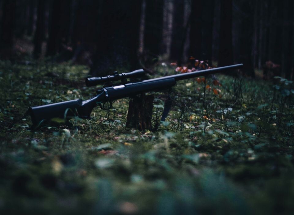    Охота. Источник: unsplash.com