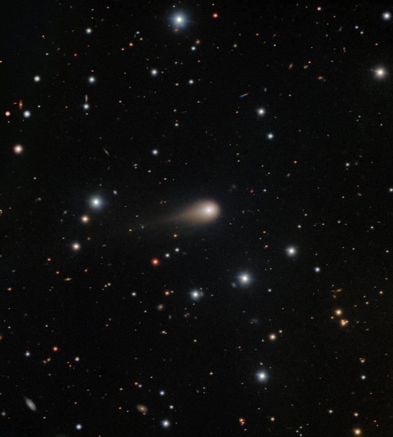 Недавние изображения 3I/ATLAS, полученные телескопом «Джемини-Юг» в Чили.