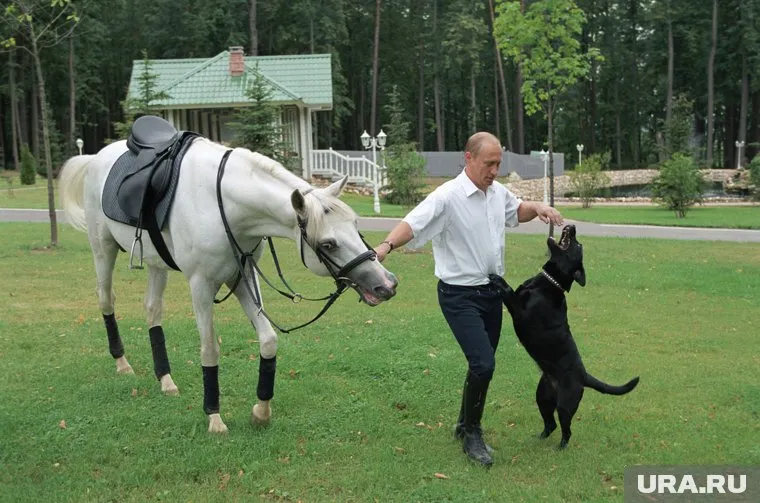  Путина уже начали поздравлять мировые лидеры
Фото: Родионов Владимир/ТАСС