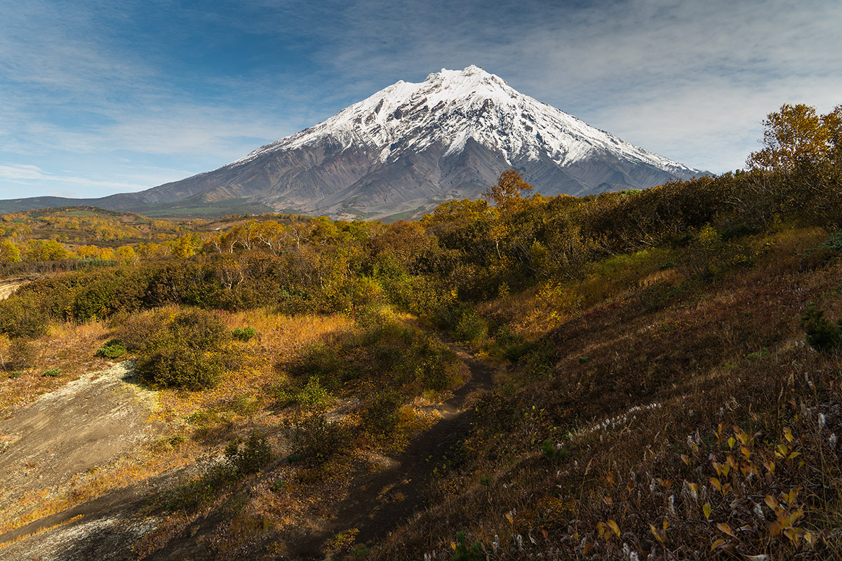 Фото Артема Безотечество