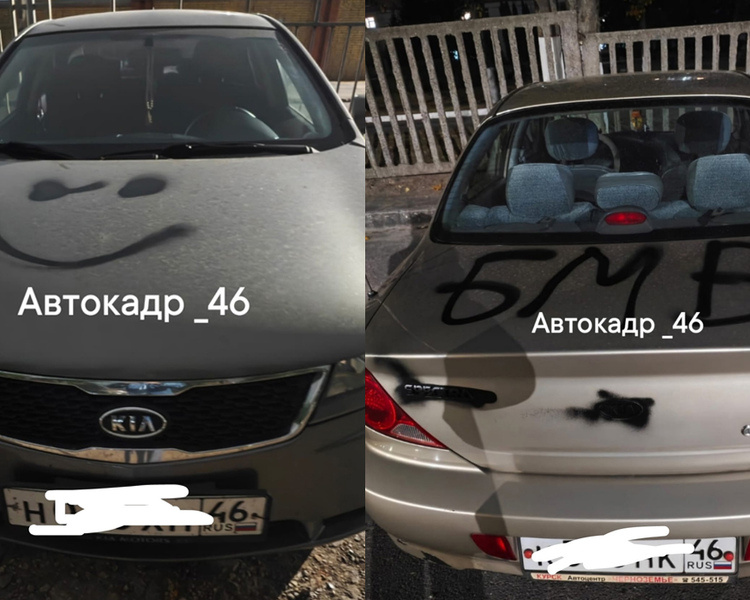     В Курске вандалы разрисовали 20 машин