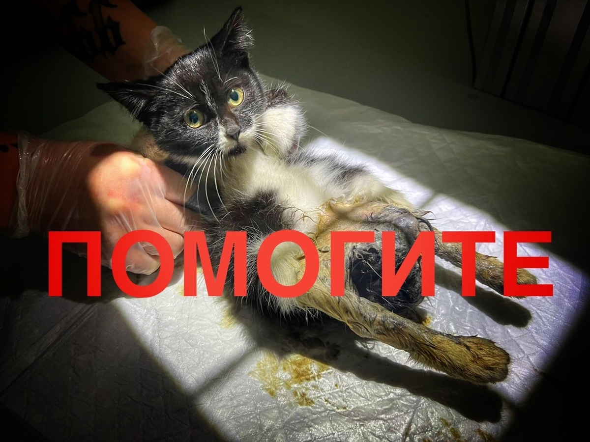  Если ничего не делать, это верная смерть БЕЗ ШАНСА, помогите!