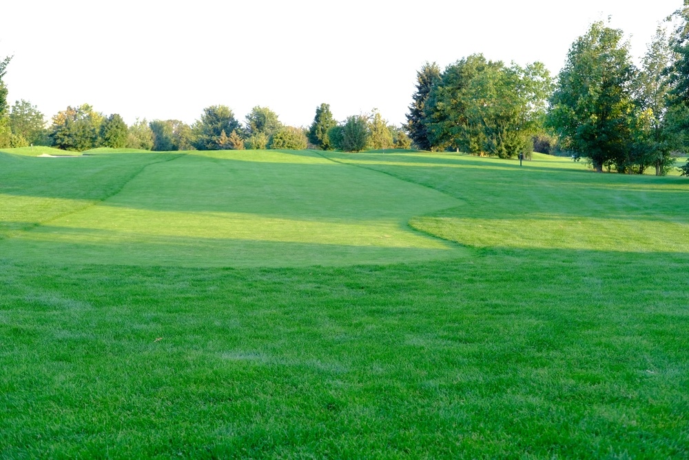 Источник фото shutterstock.com