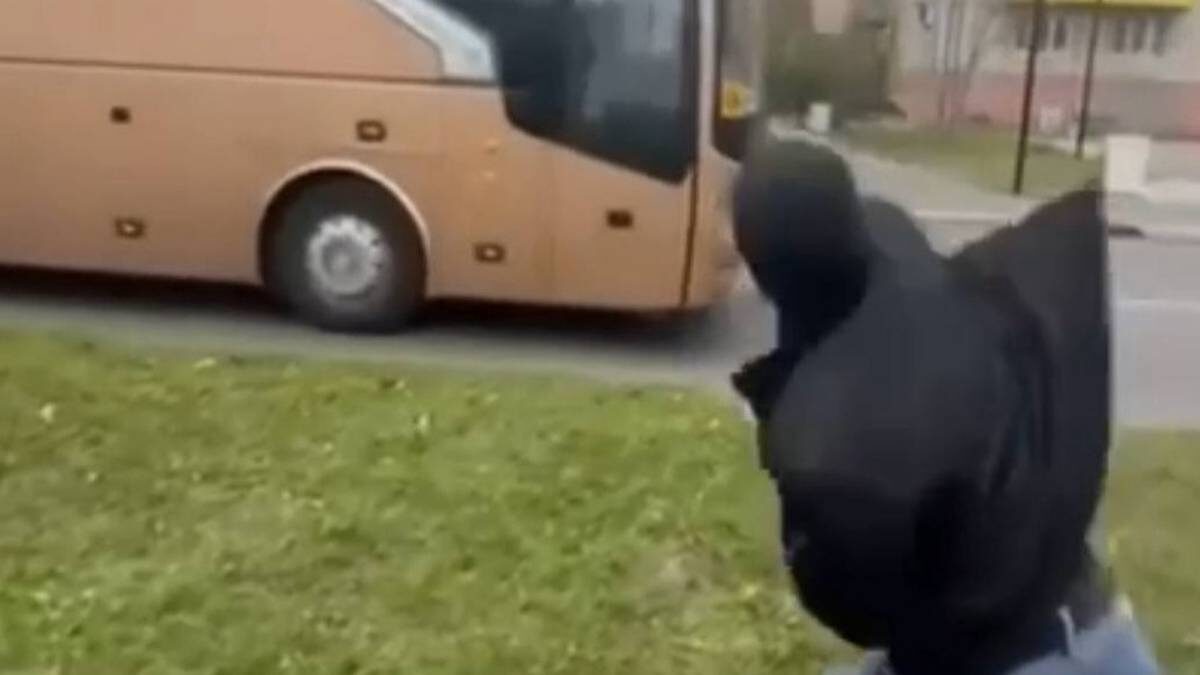    Фото: Скриншот видео / Типичная Шатура / Telegram