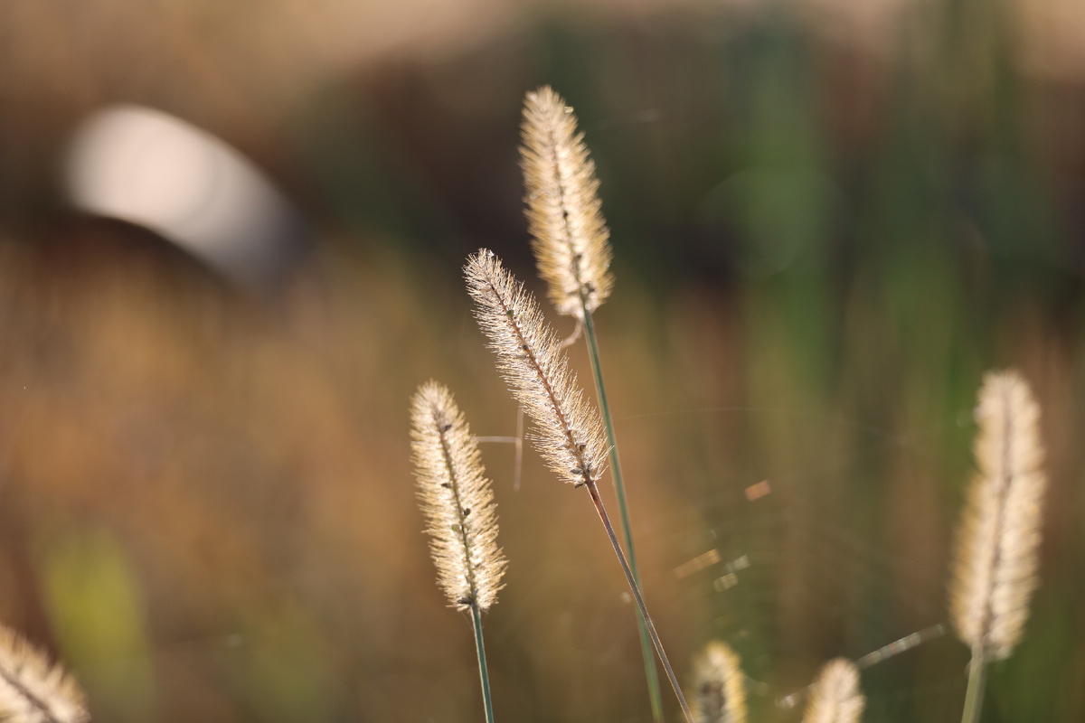 Разбавлю болтовню прогулочными фото
