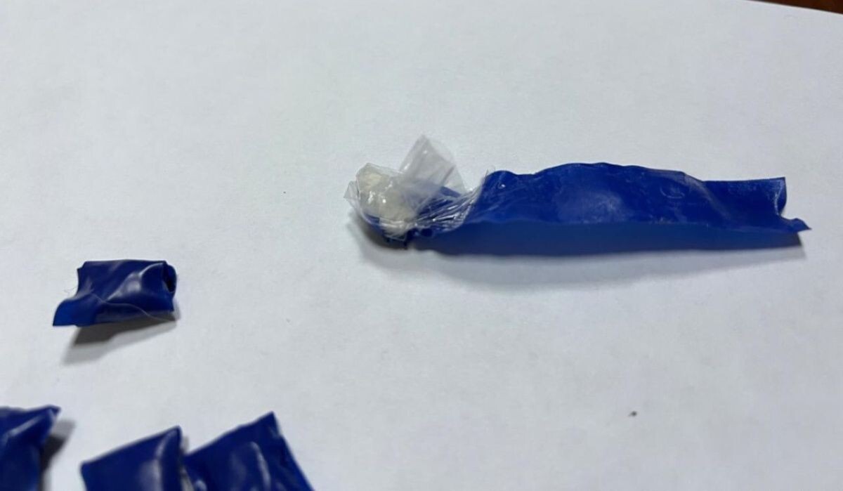     Изъятое вещество. Источник: ОМВД по ЧГО Автор фото: Отдел МВД по ЧГО